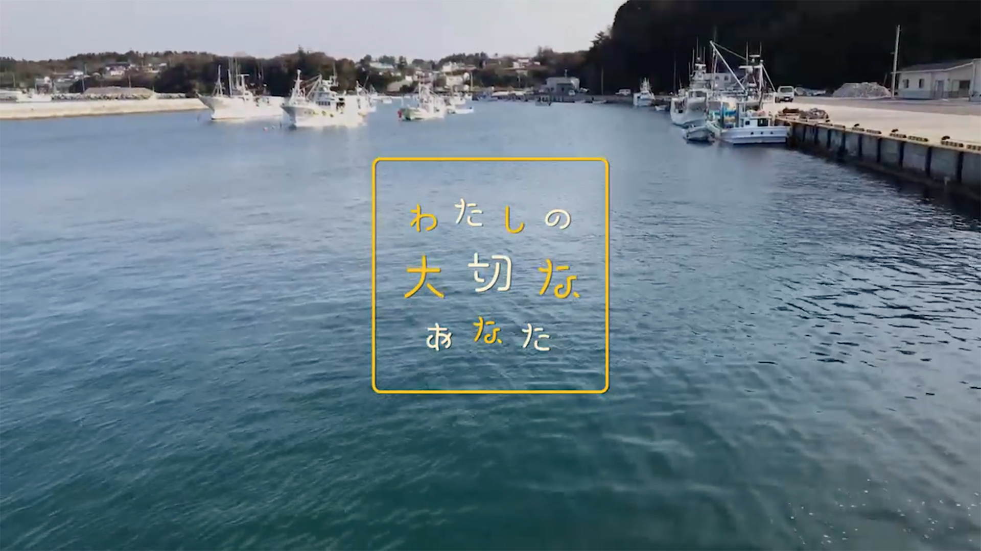 NHK「わたしの大切なあなた」