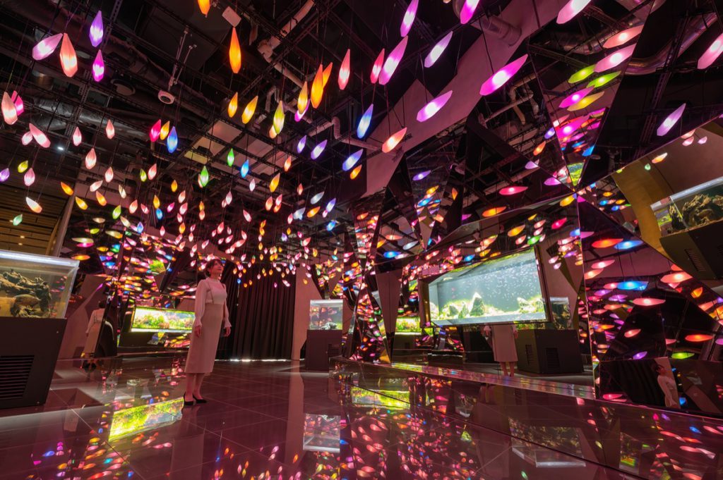 AQUARIUM x ART átoa MUSE CREA INC.
